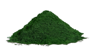 Chlorella