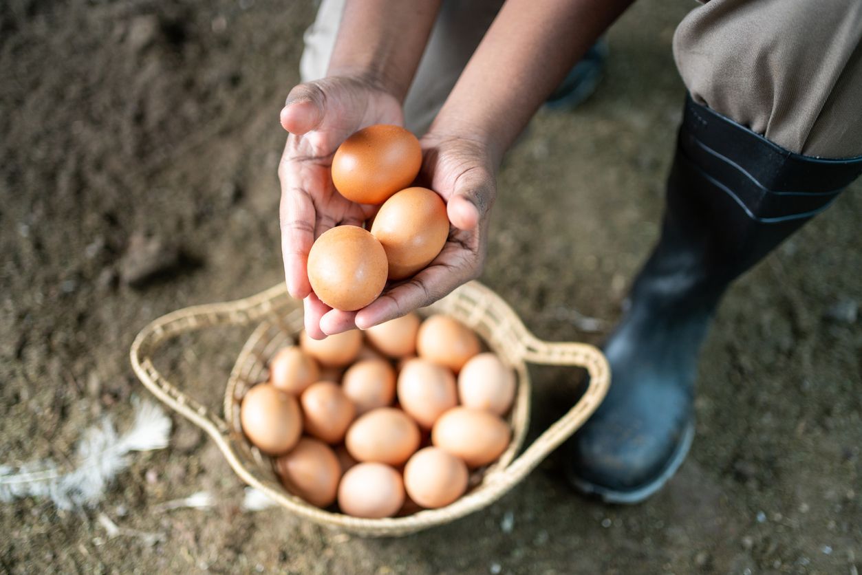 Wat doet een B12 tekort met je lichaam?