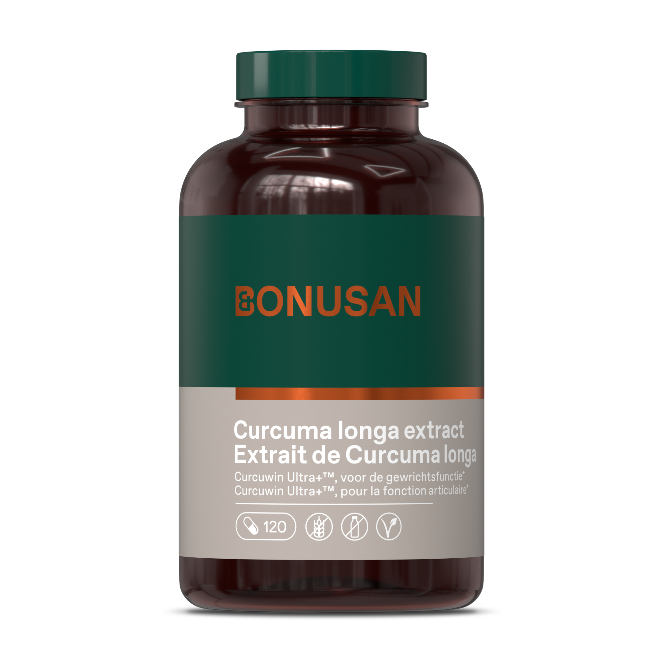 Curcuma longa extract