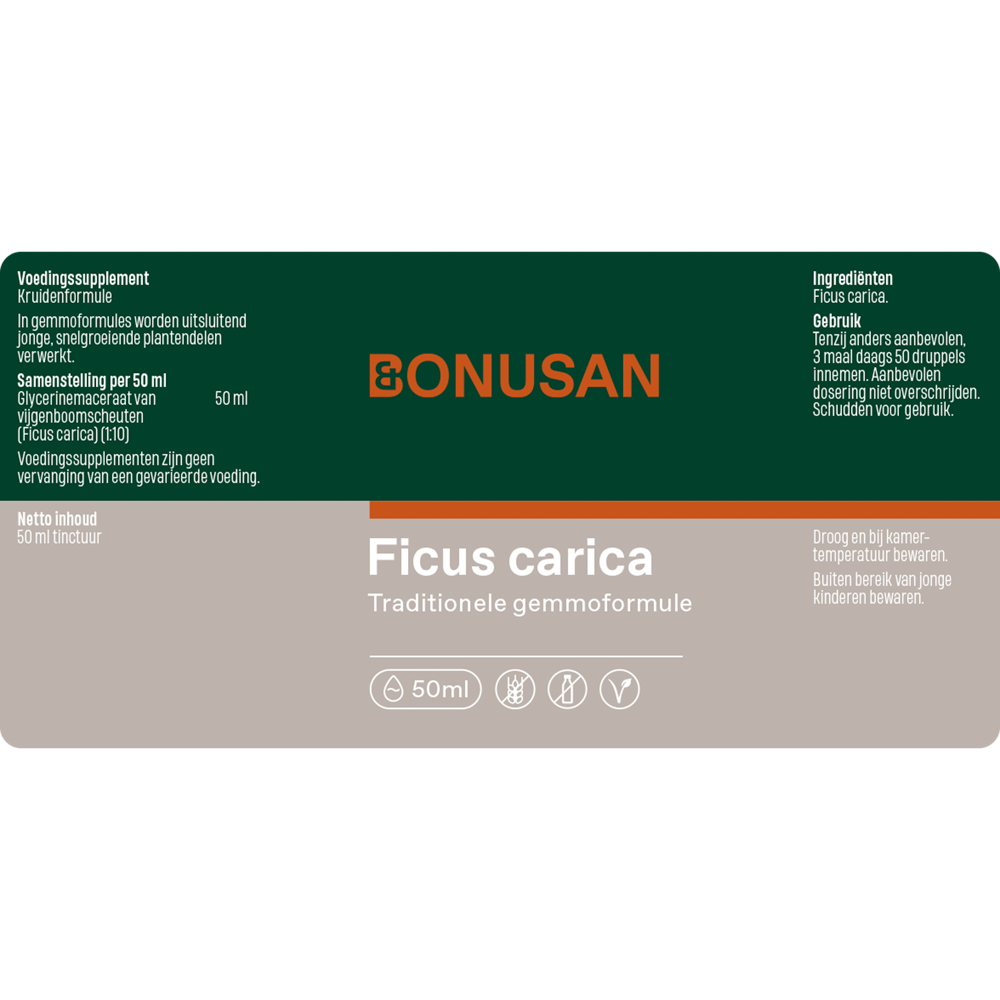 Ficus carica