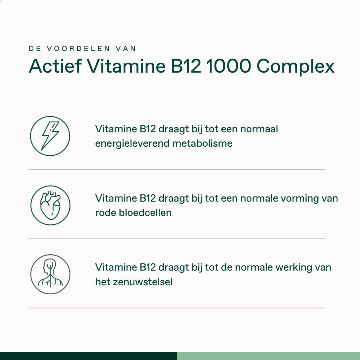 Actief vitamine B12 1000 Complex