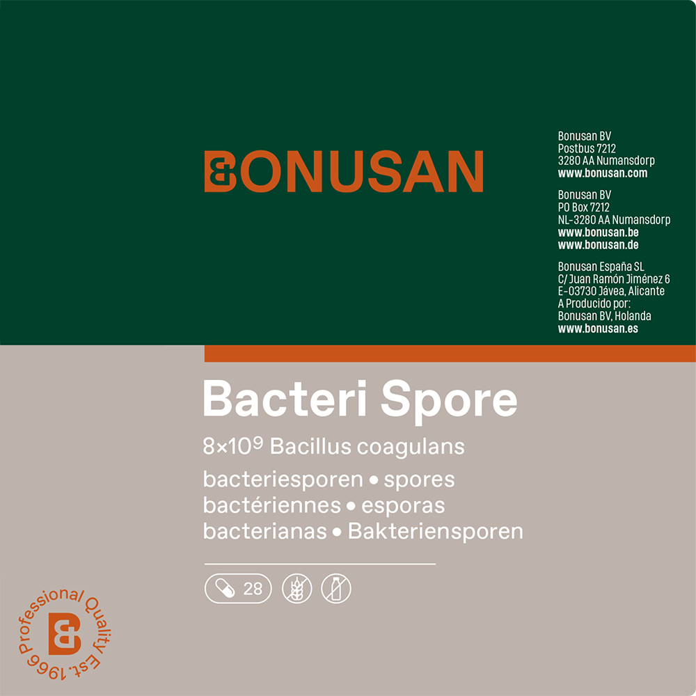 Bacteri Spore 