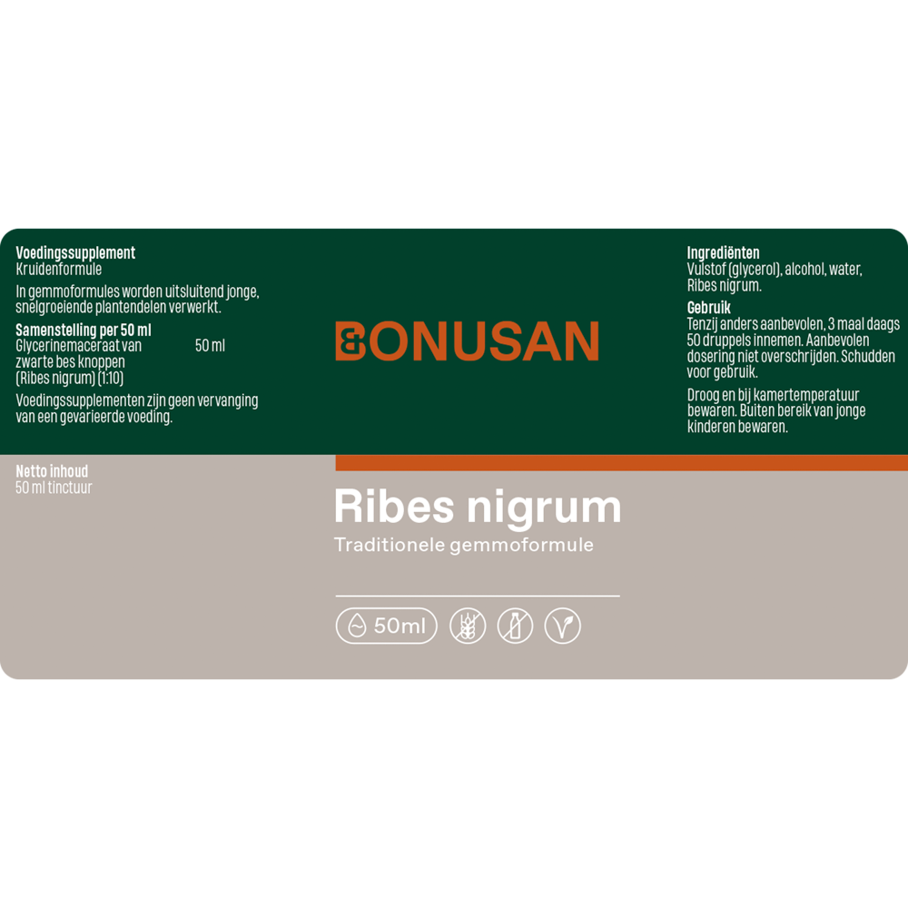 Ribes nigrum