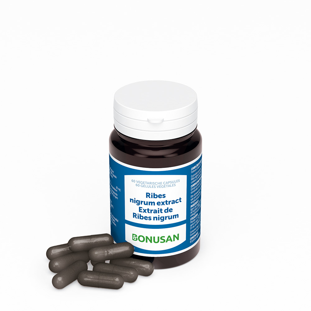 Ribes nigrum extract