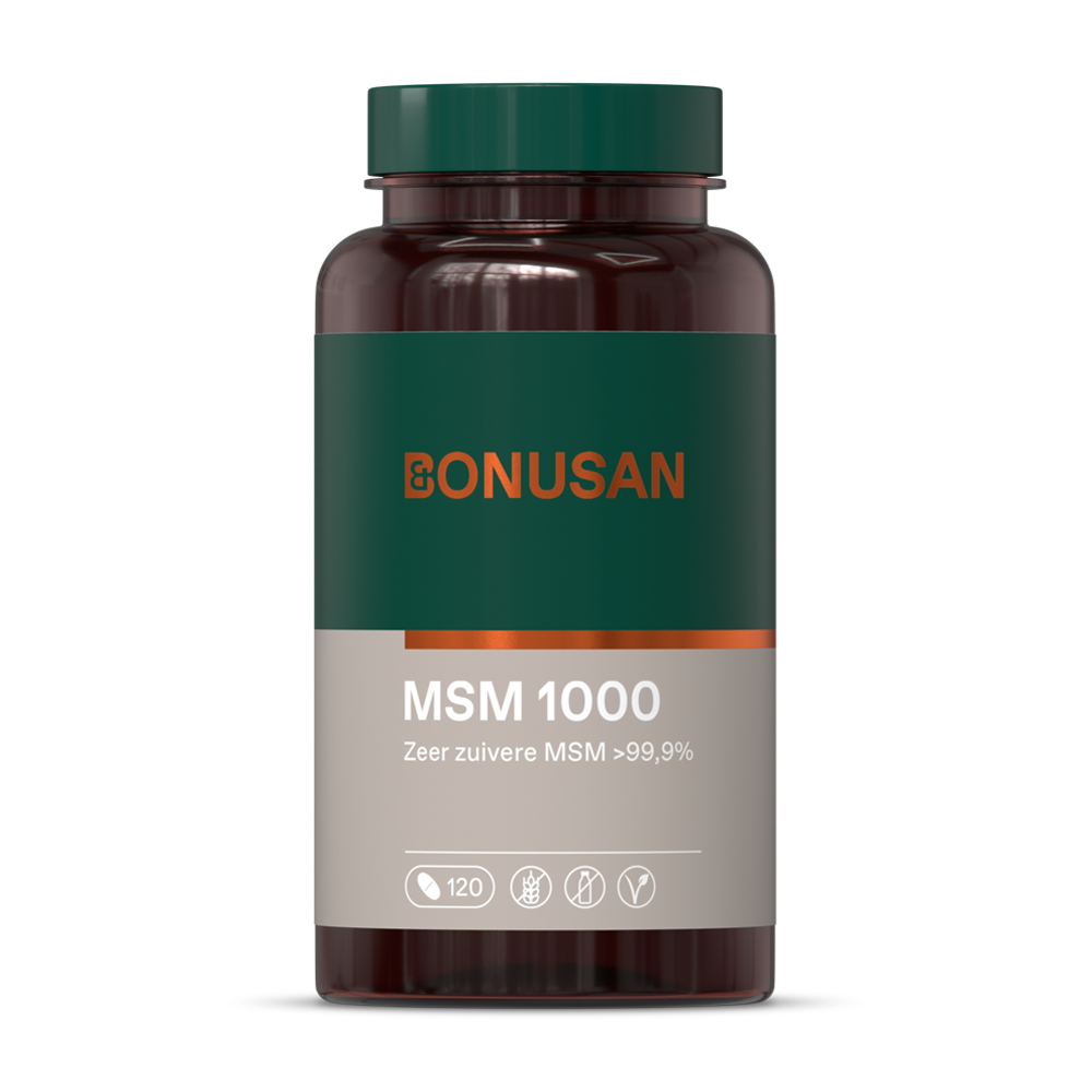 MSM 1000