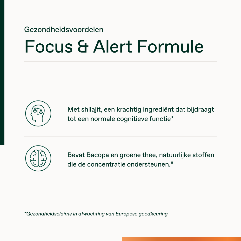 Focus & Alert Formule