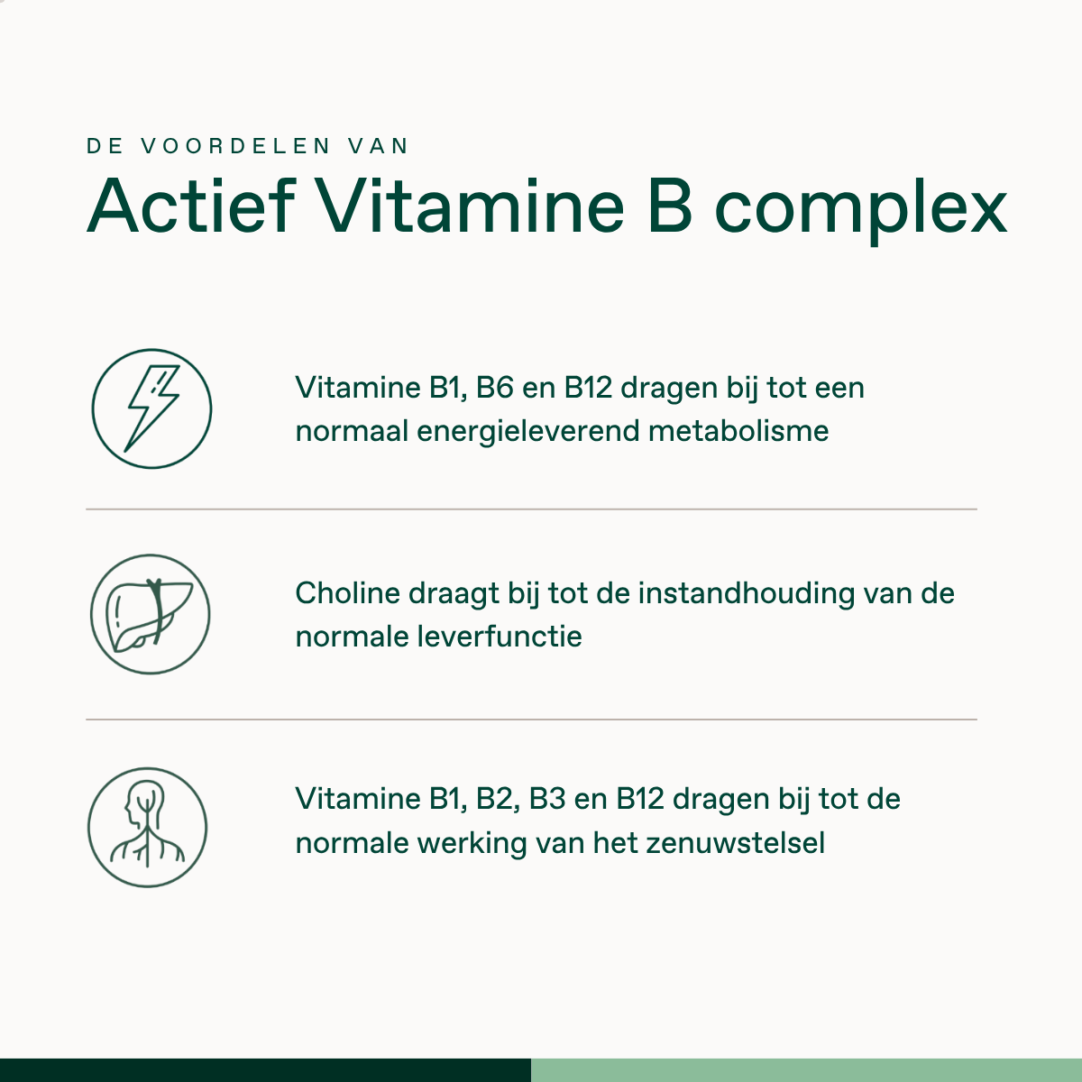 Actief Vitamine B Complex