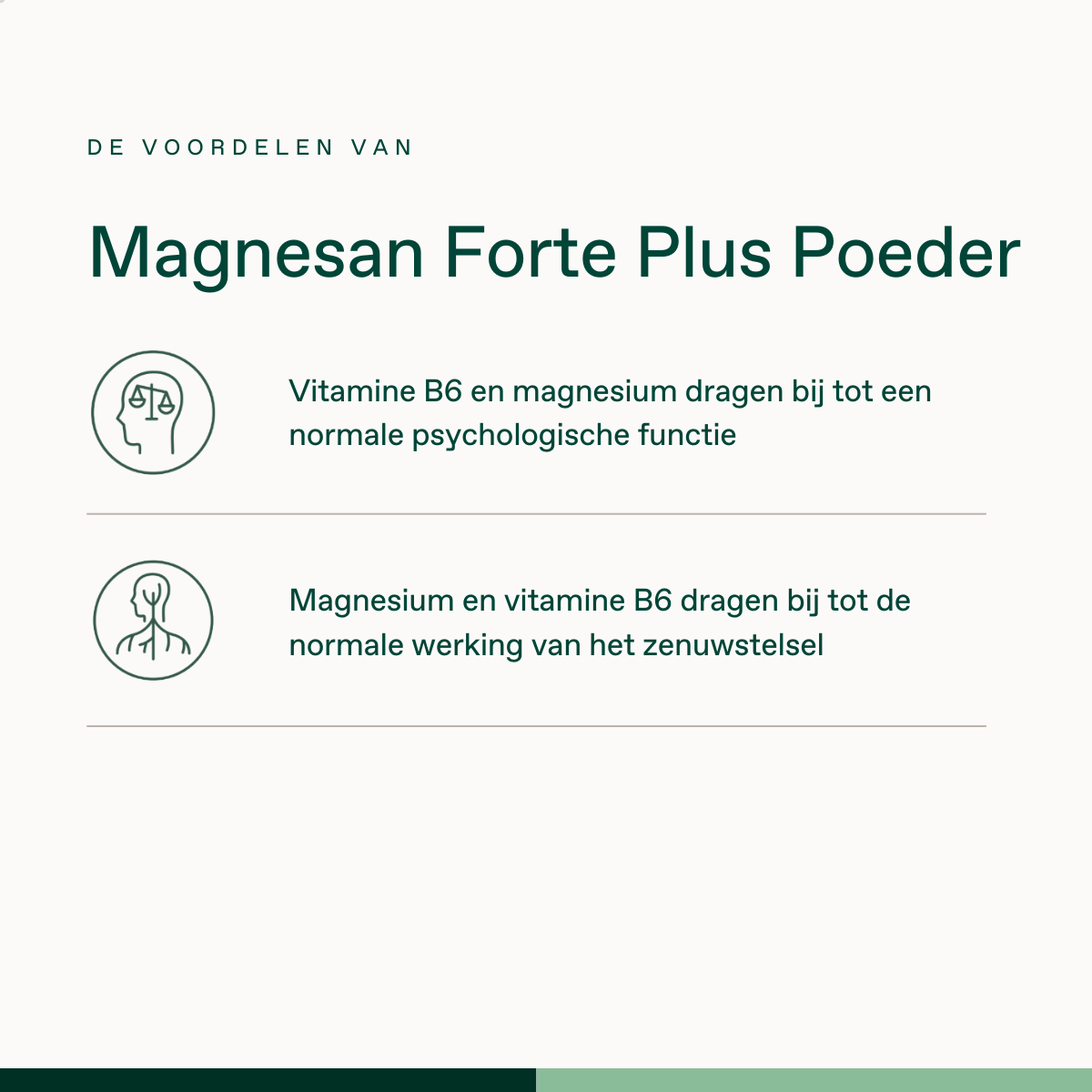 Magnesan Forte Plus Poeder