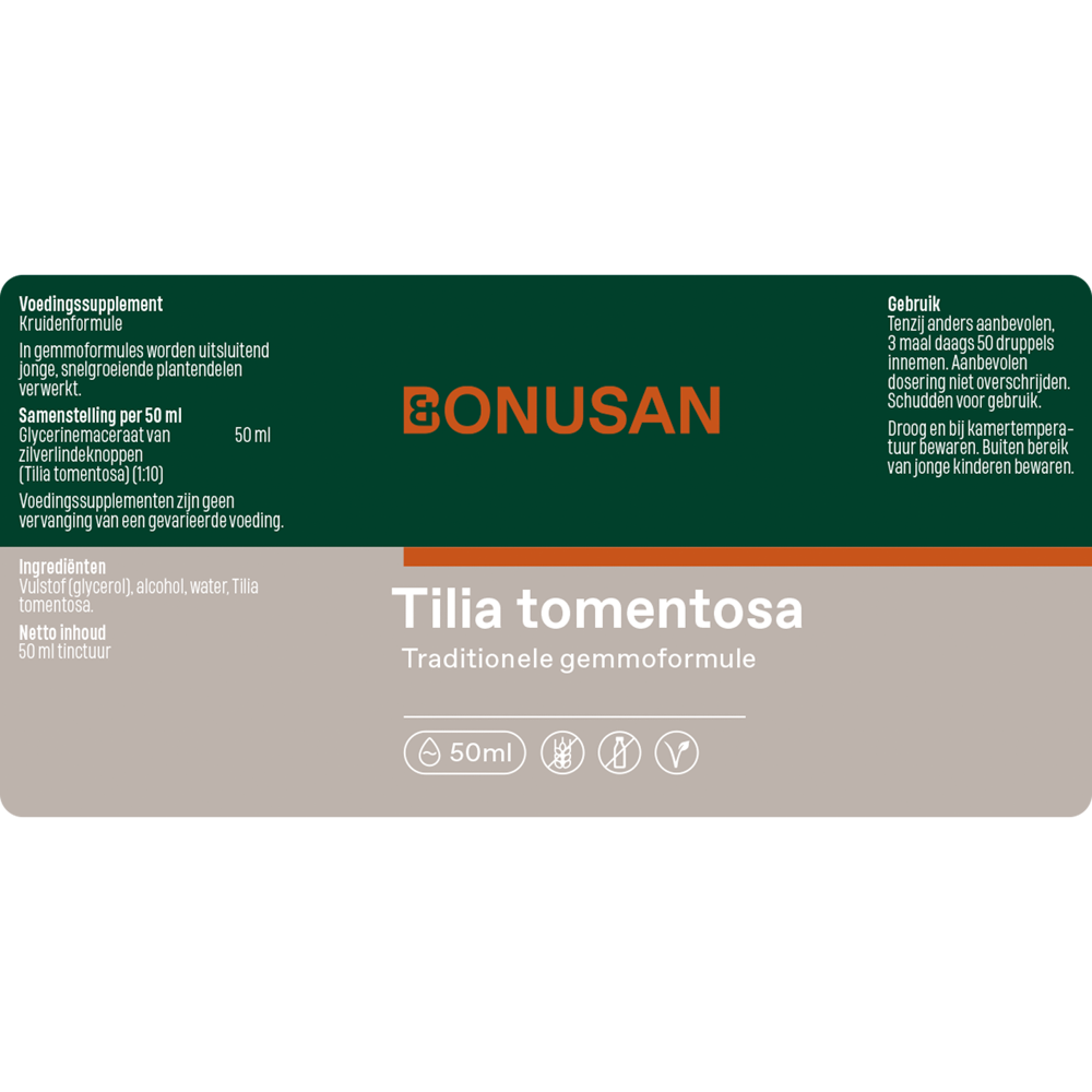 Tilia tomentosa