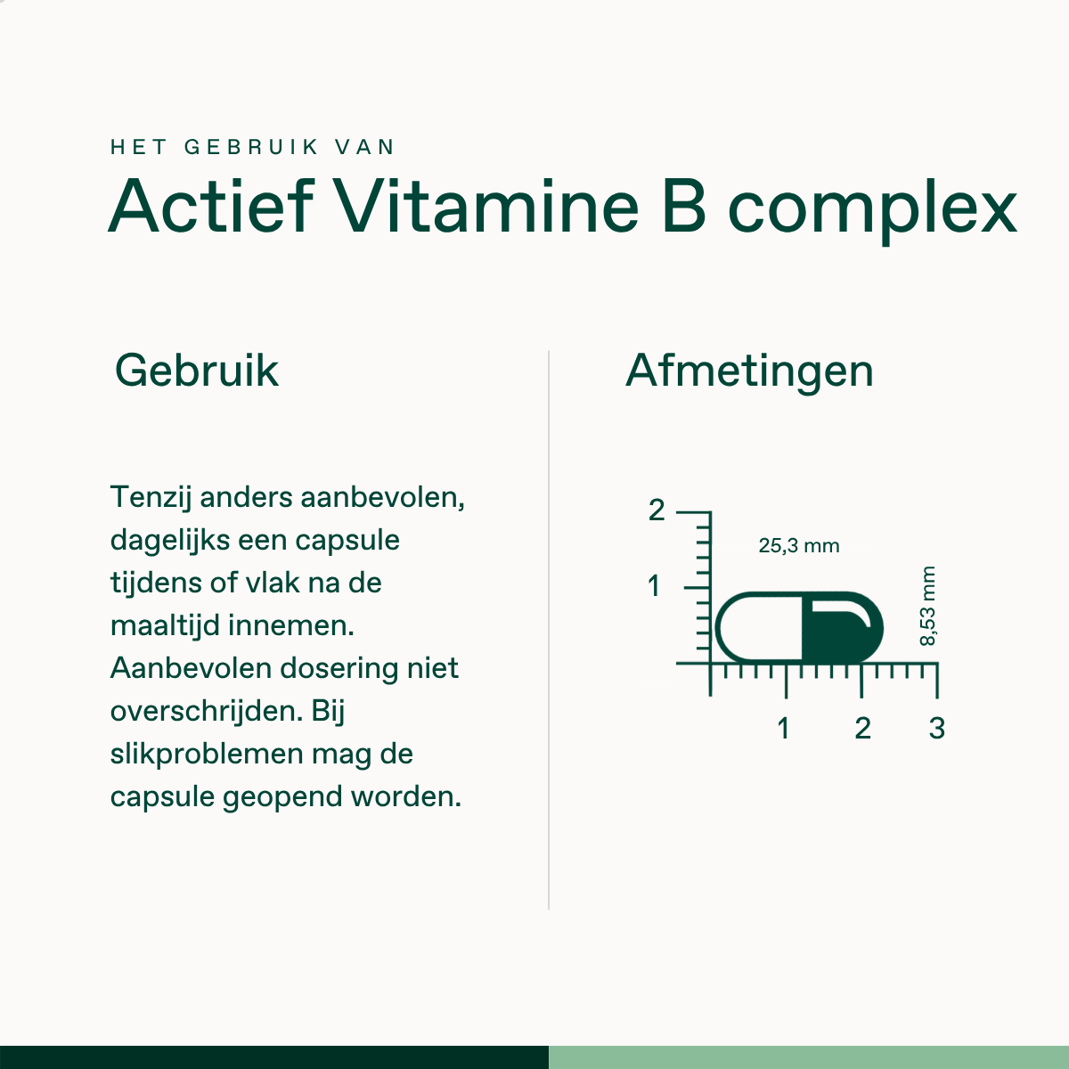 Actief Vitamine B Complex