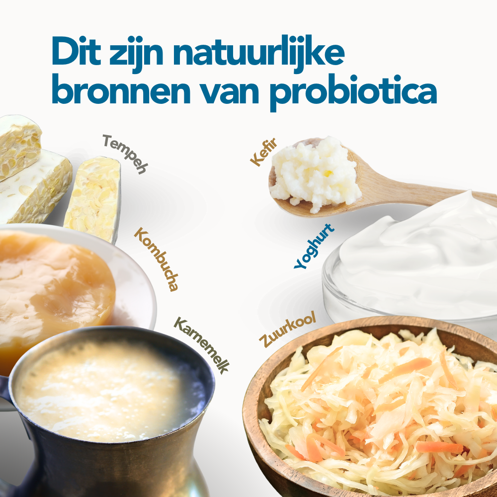 Bacteri 6 Oral