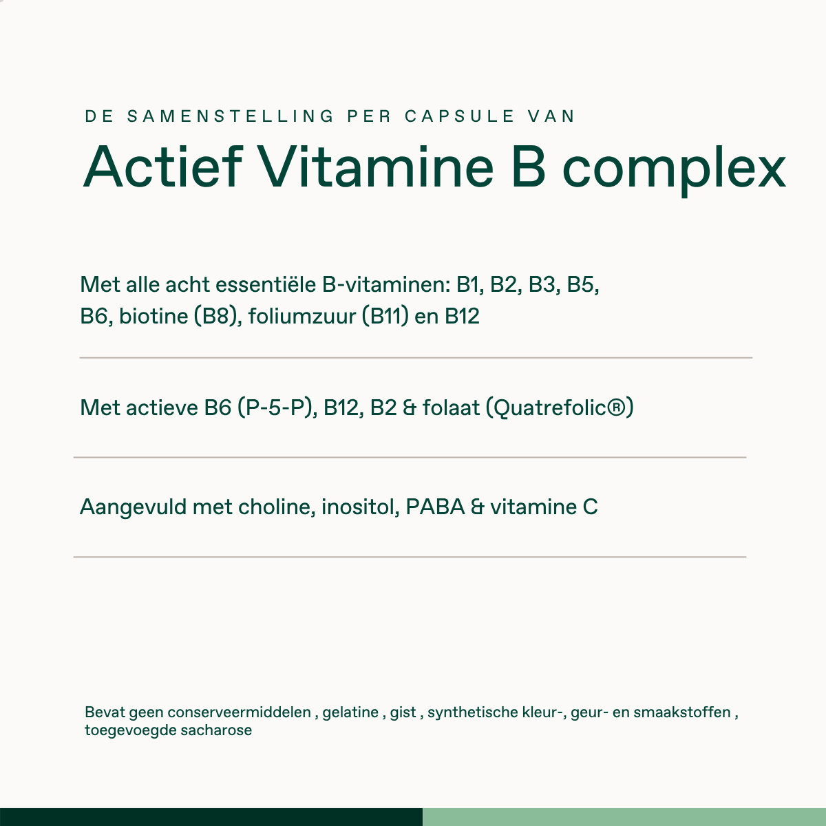 Actief Vitamine B Complex