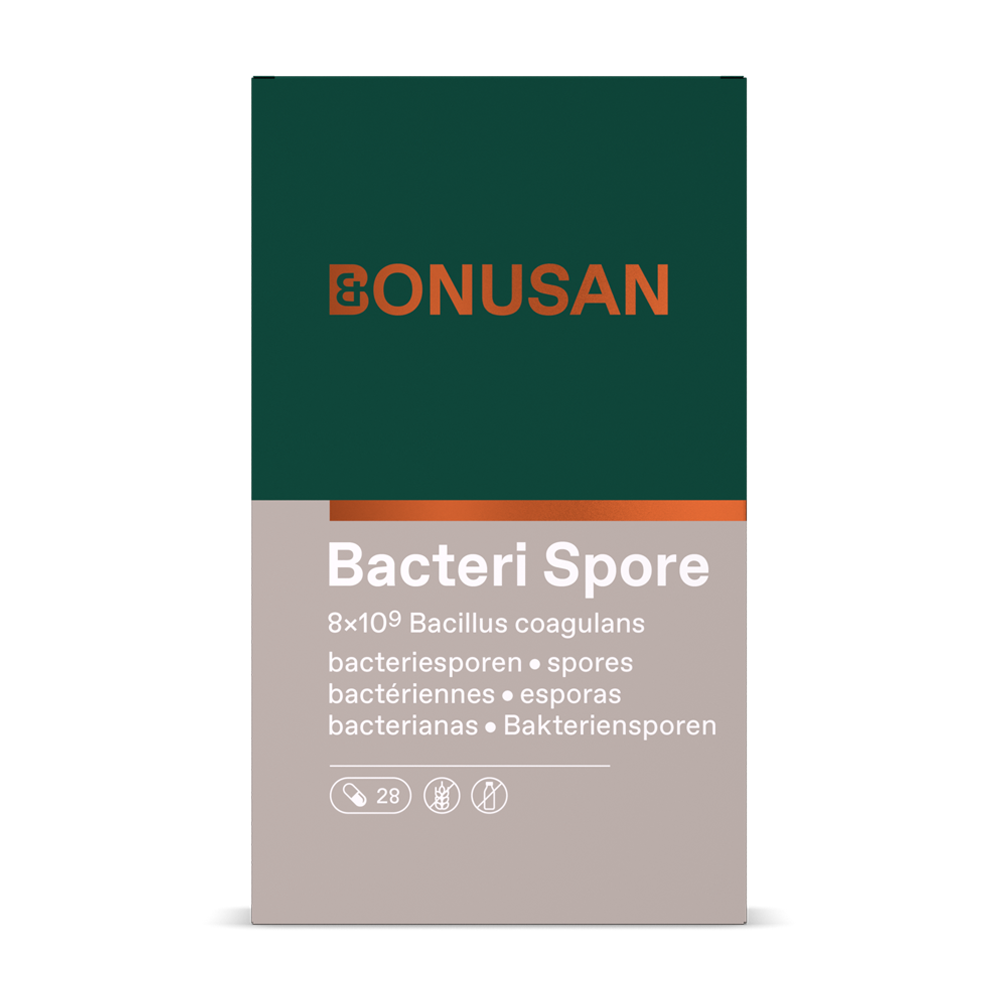 Bacteri Spore 
