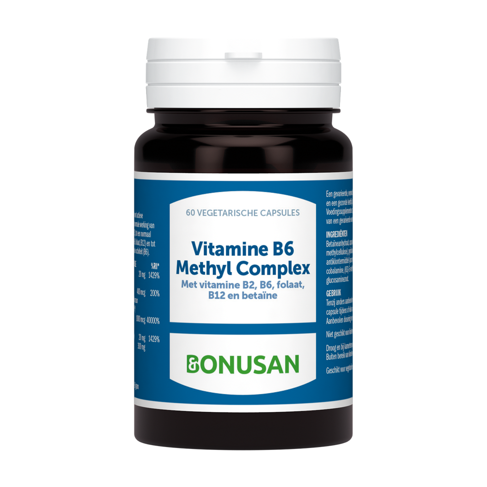 Vitamine B6 Methyl Complex 