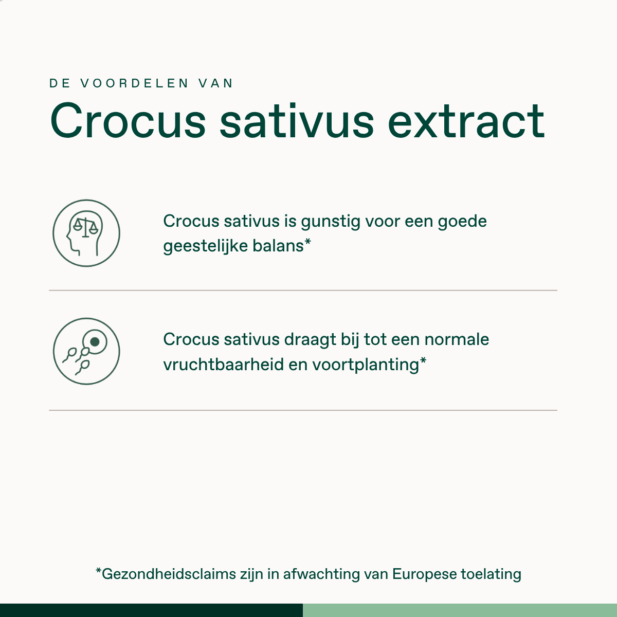 Crocus sativus extract