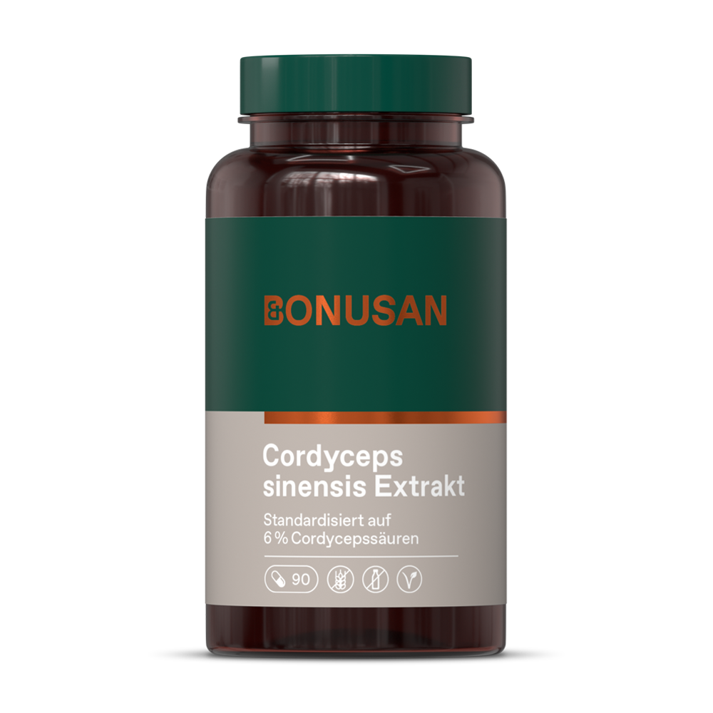 Cordyceps sinensis Extrakt