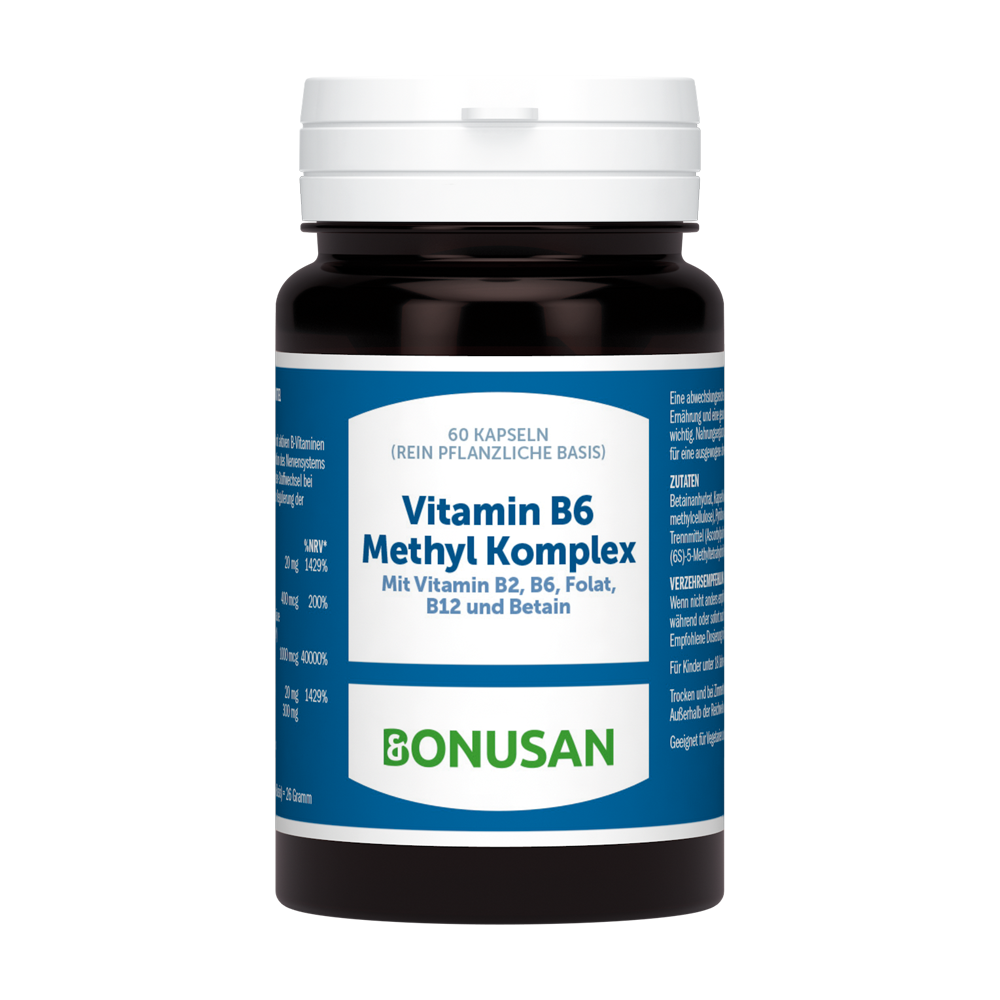 Vitamin B6 Methyl Komplex