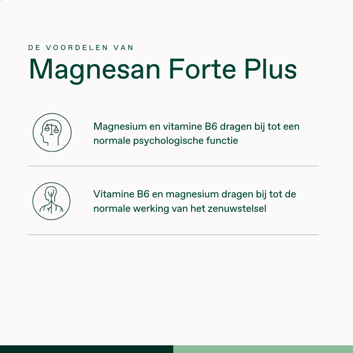 Magnesan Forte Plus