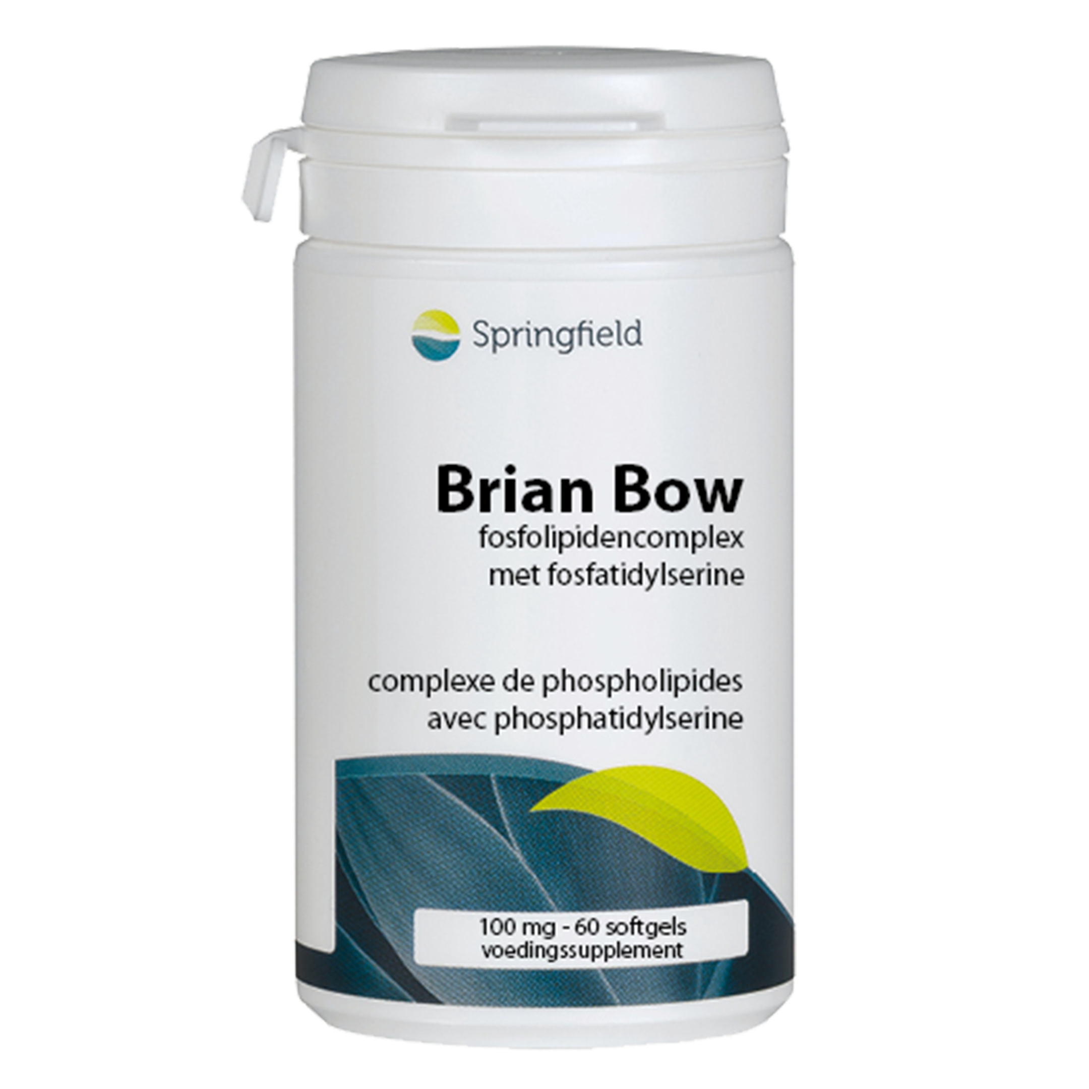 Brian Bow