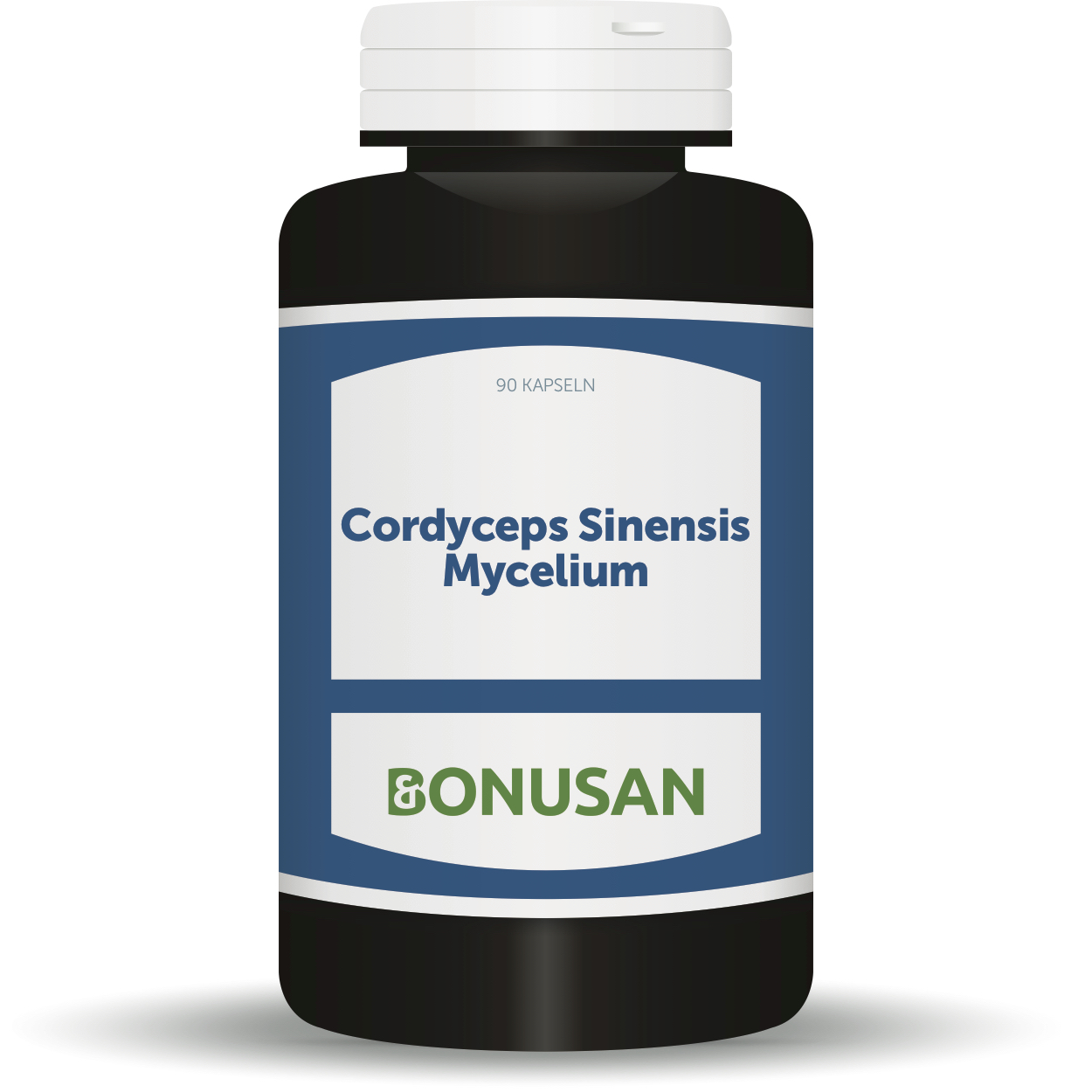 Cordyceps sinensis mycelium