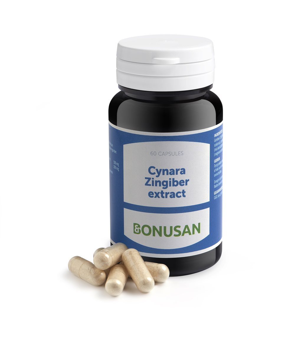 Cynara-Zingiber extract