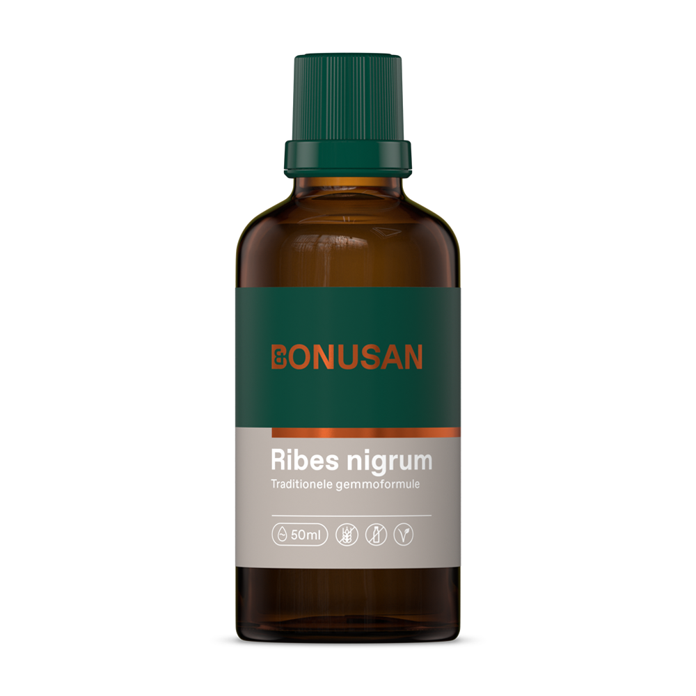 Ribes nigrum