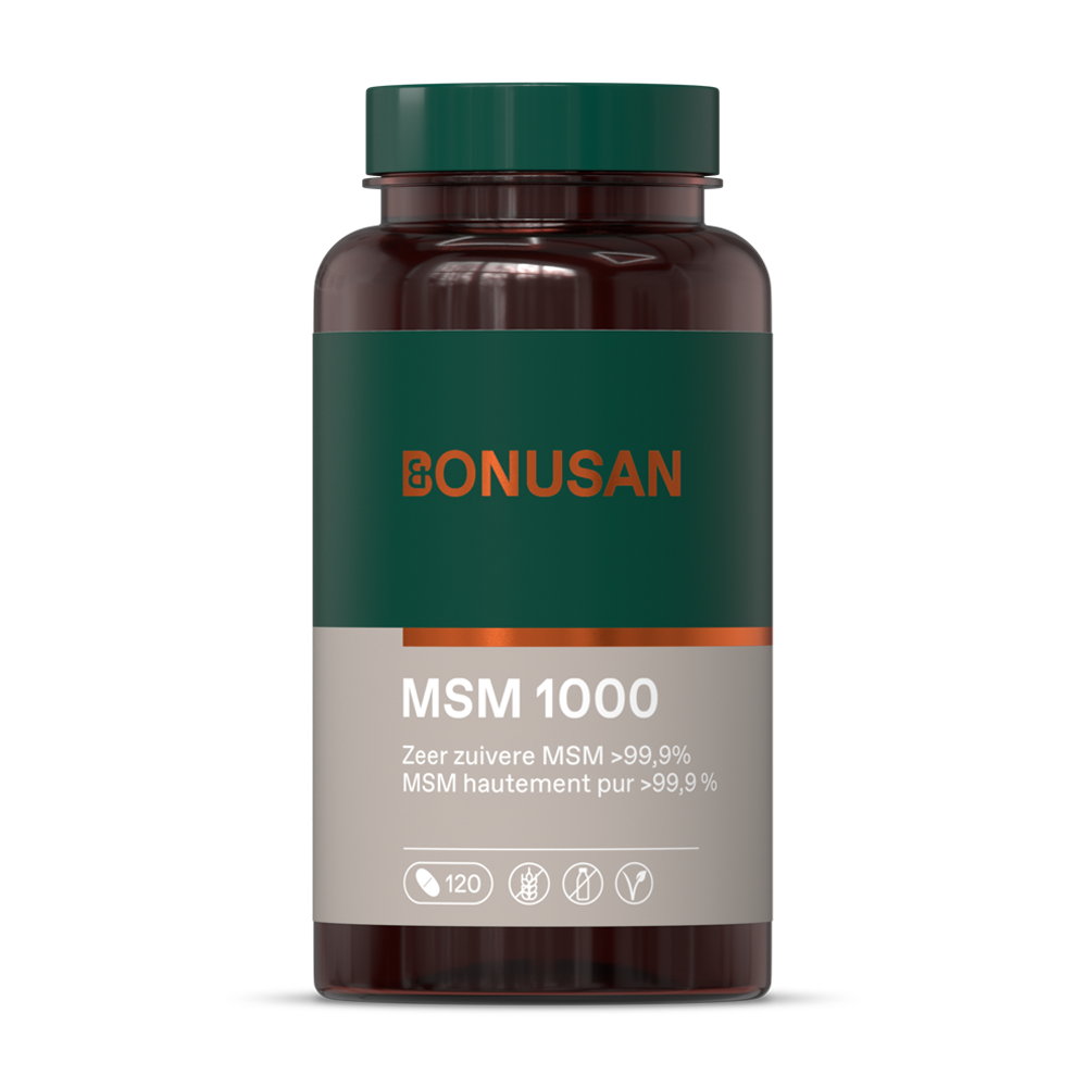 MSM 1000