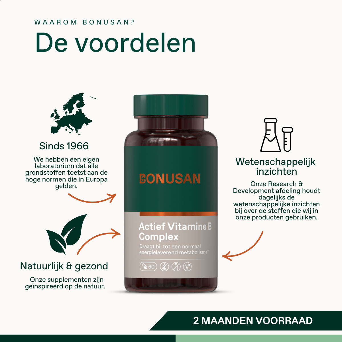 Actief Vitamine B Complex