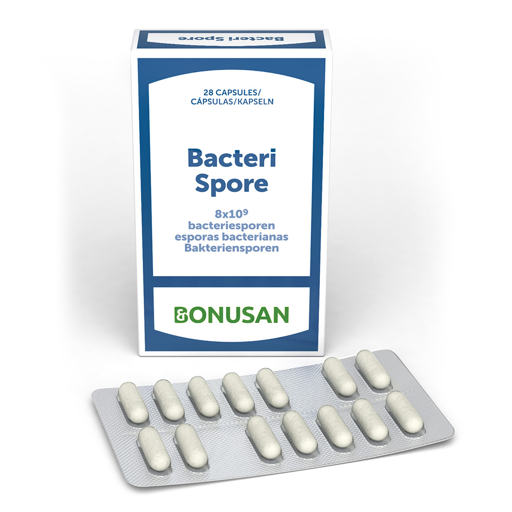 Bacteri Spore 