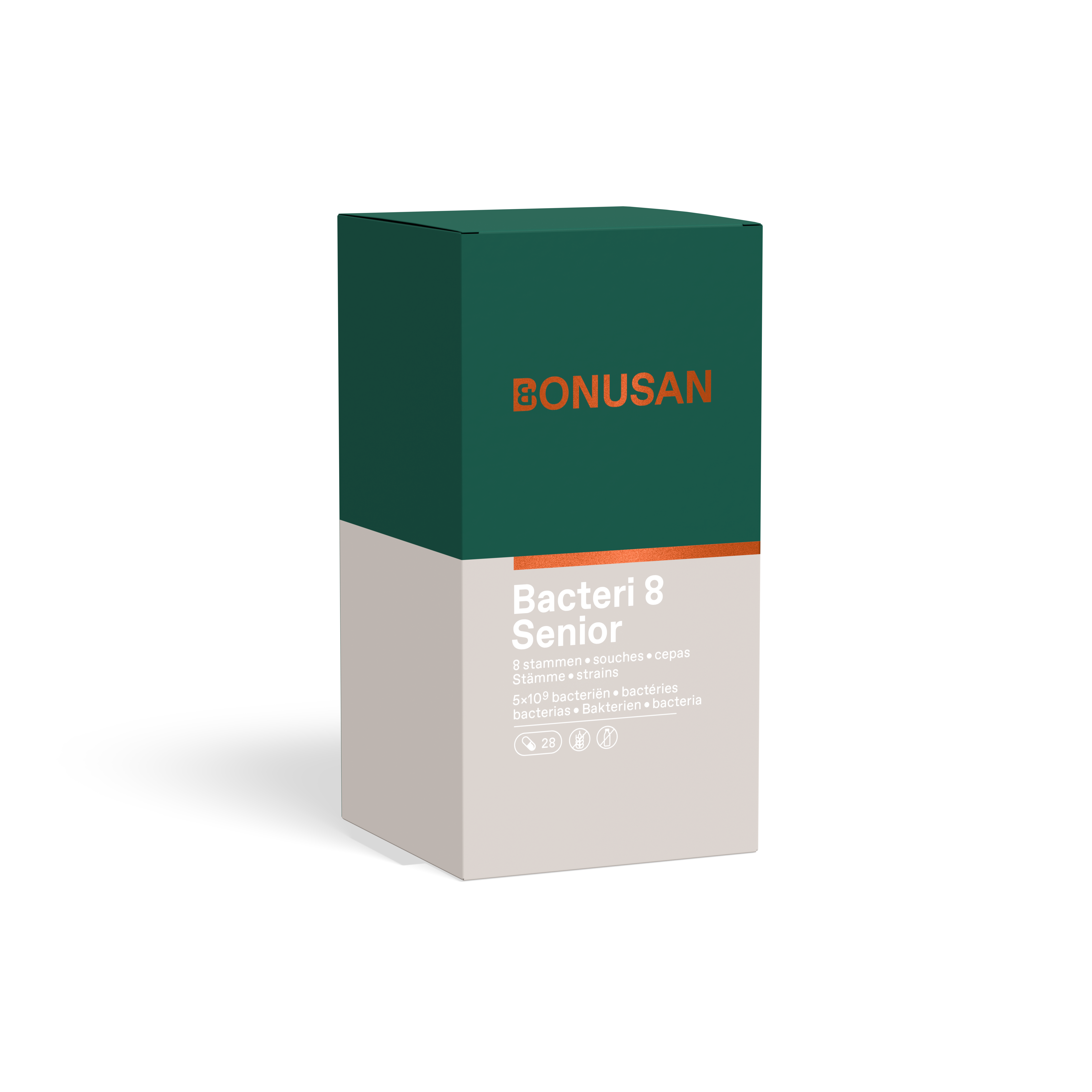 Bacteri 8 Senior 
